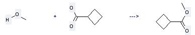 Cyclobutanecarboxylic acid can react with Methanol to get Cyclobutanecarboxylic acid methyl ester.